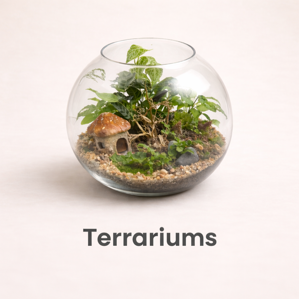 Glass bowl with plants and a mushroom house, ready made terrarium