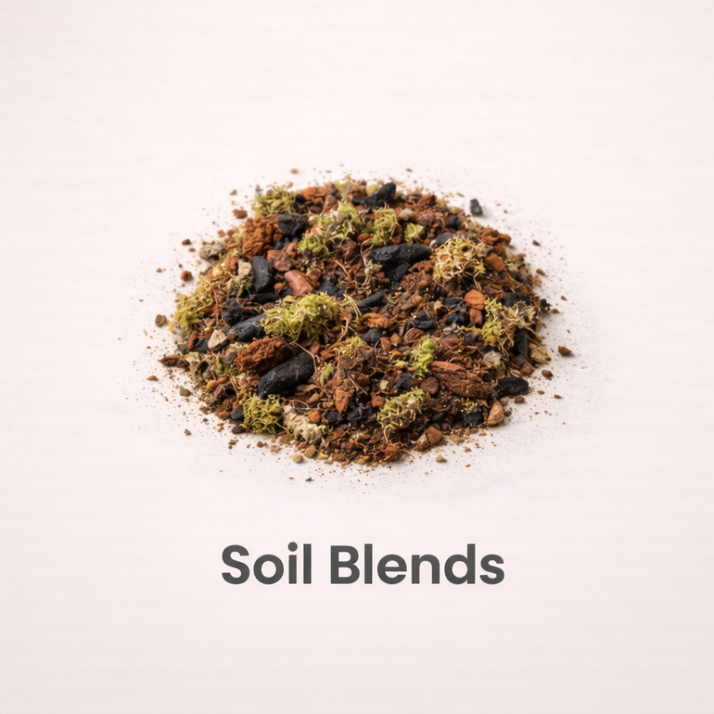 Close-up of engineered terrarium soil blend with visible charcoal, bark and coco fibre, designed for closed glass terrariums in Australia.