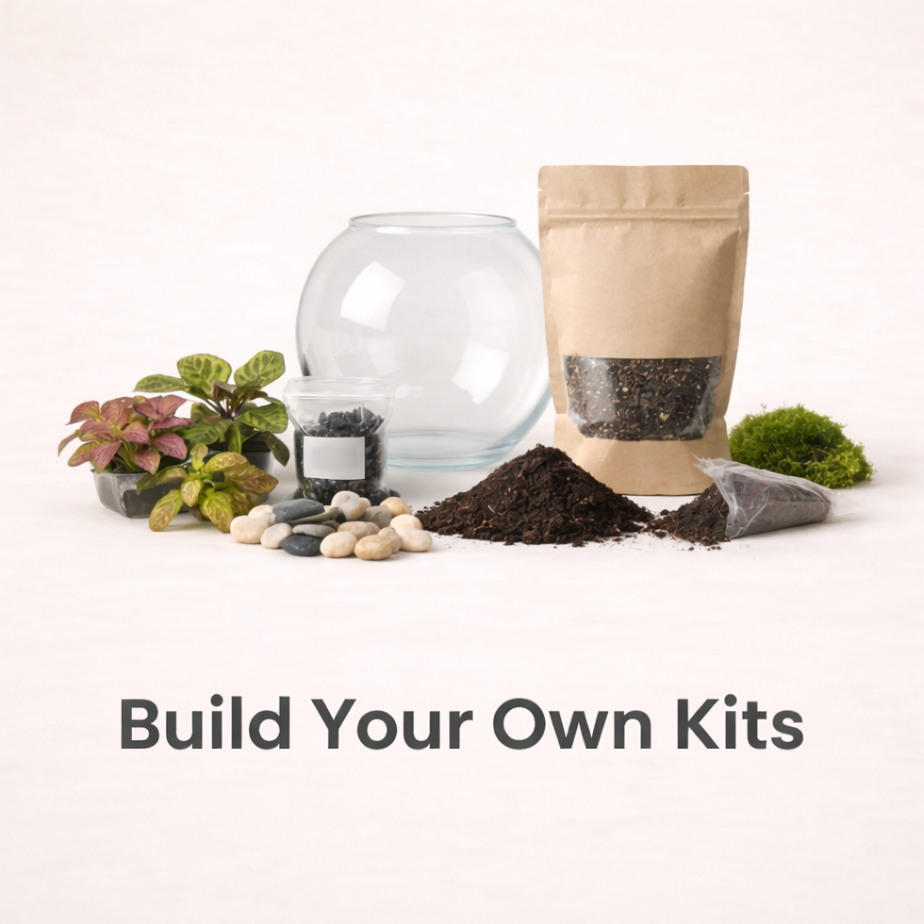 build your own terrarium kit