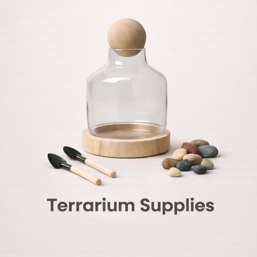 terrarium-supplies