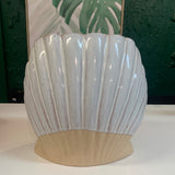White Shell Planter