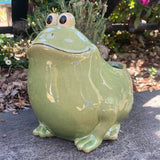 George Frog Planter