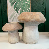 Mushroom Planter Concrete
