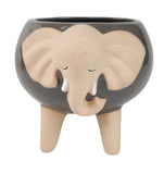 Elle Elephant