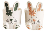 Bunny Pots
