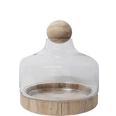 DIY Wooden Ball Terrarium