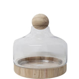 DIY Wooden Ball Terrarium