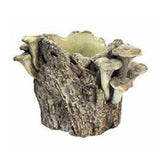 Mushroom Log Planter