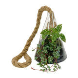 Hanging Terrarium Cone