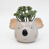 Koala Head Planter