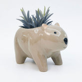 Wombat Planter