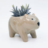 Wombat Planter