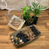 Open Geo Terrarium DIY Kit - Plant Homewares & Lifestyle