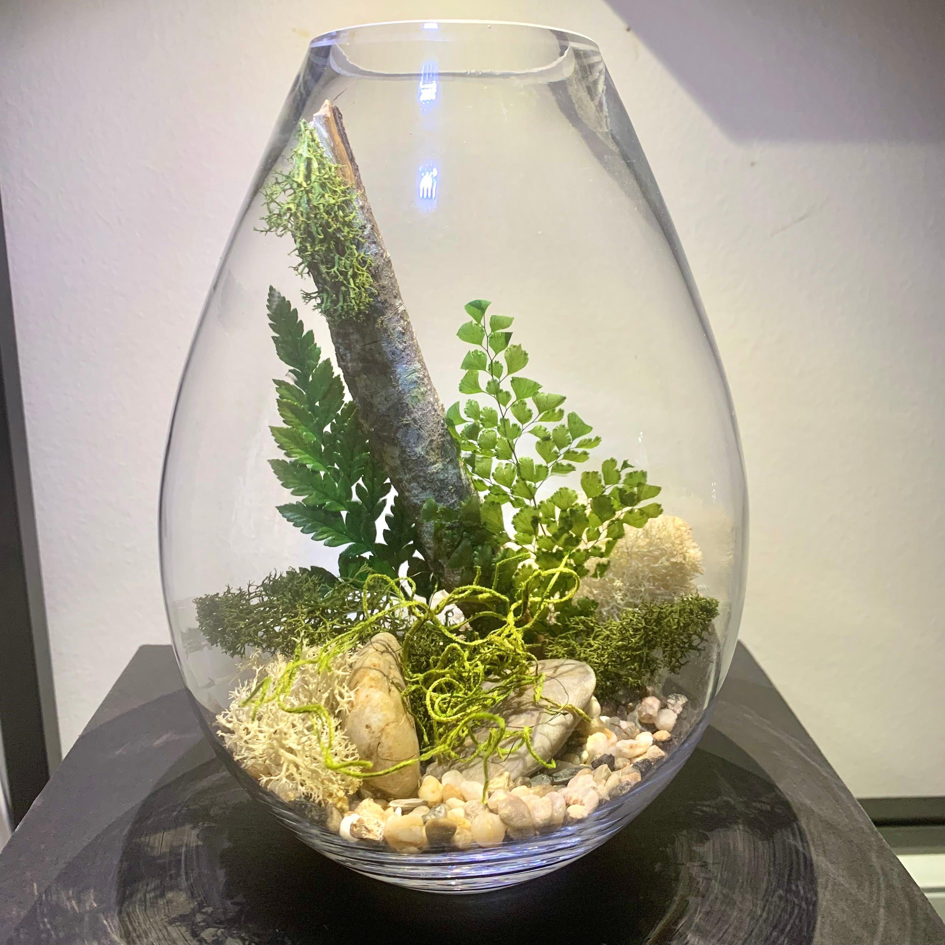 DIY Preserved Terrarium - Plant Homewares & Lifestyle