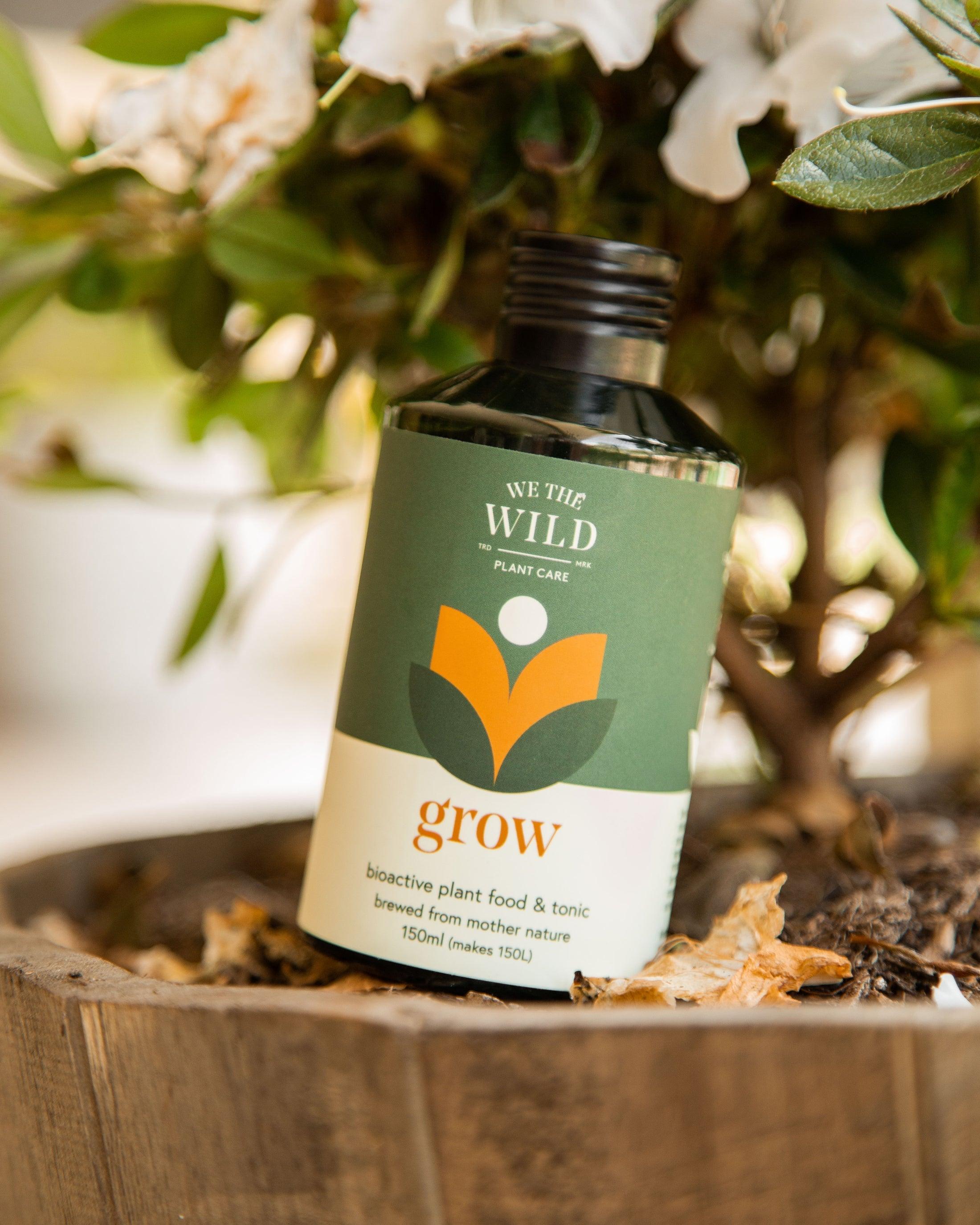 We The Wild - Grow - Plant Homewares & Lifestyle