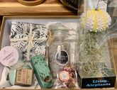 Plant Lover Gift Box - Plant Homewares & Lifestyle