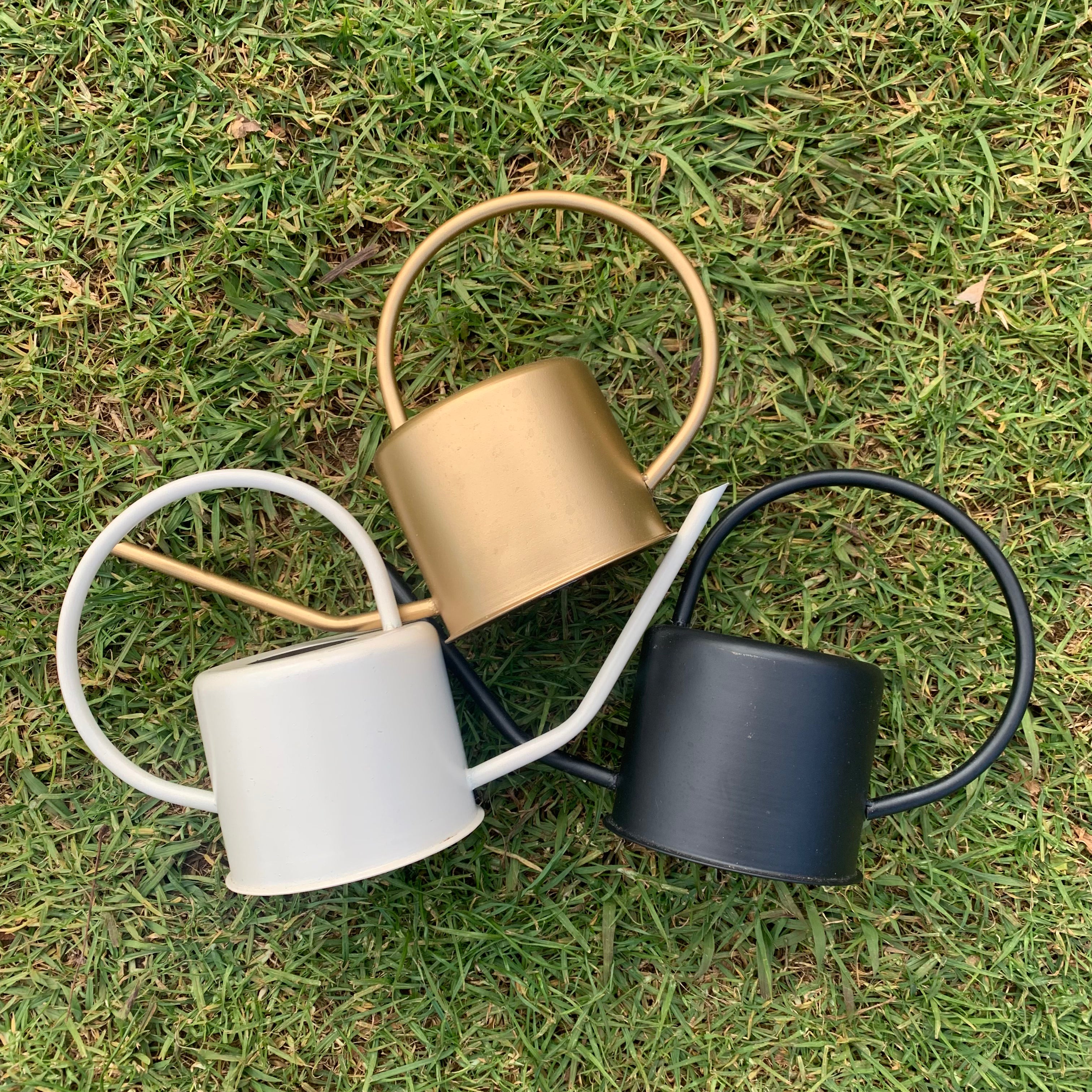 Metal Watering Cans - Plant Homewares & Lifestyle