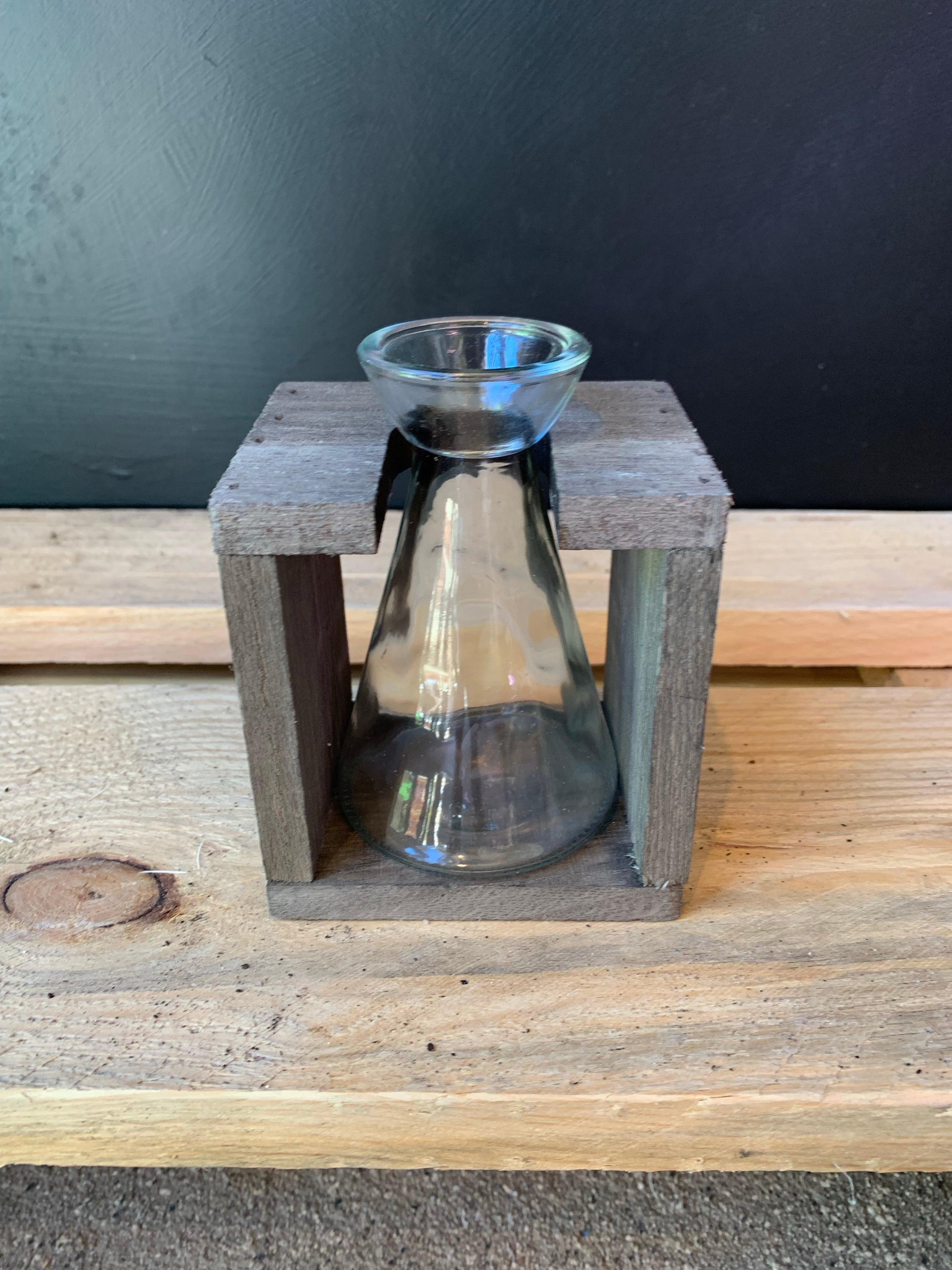 Propagation Station Series - Plant Homewares & Lifestyle