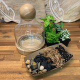 Wooden DIY Terrarium Kit Medium - Plant Homewares & Lifestyle