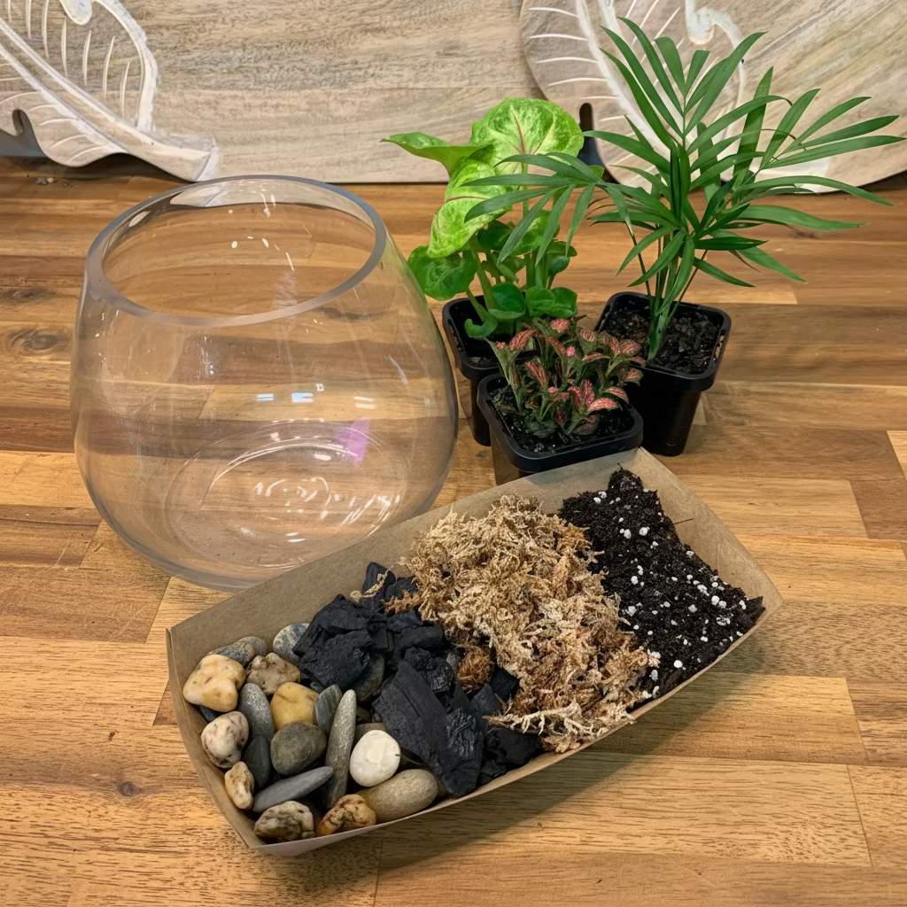 Small Plant DIY Terrarium Kit - Plant Homewares & Lifestyle
