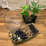 Small Plant DIY Terrarium Kit - Plant Homewares & Lifestyle