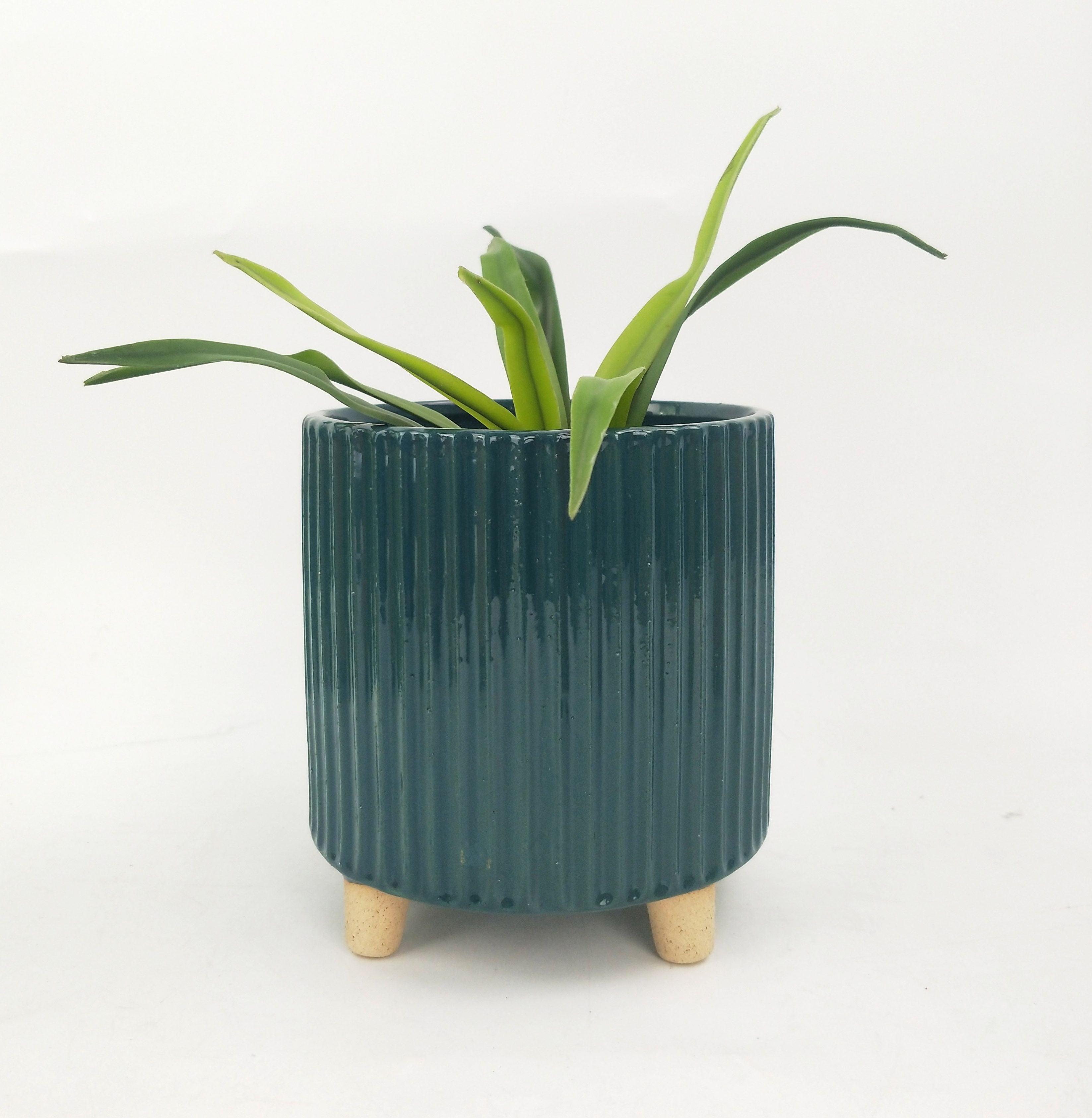 Ribbed Teal Planter with Legs - Plant Homewares & Lifestyle