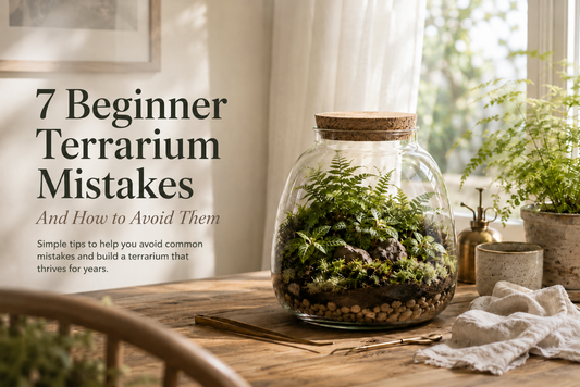 7 Beginner Terrarium Mistakes (And How to Avoid Them)