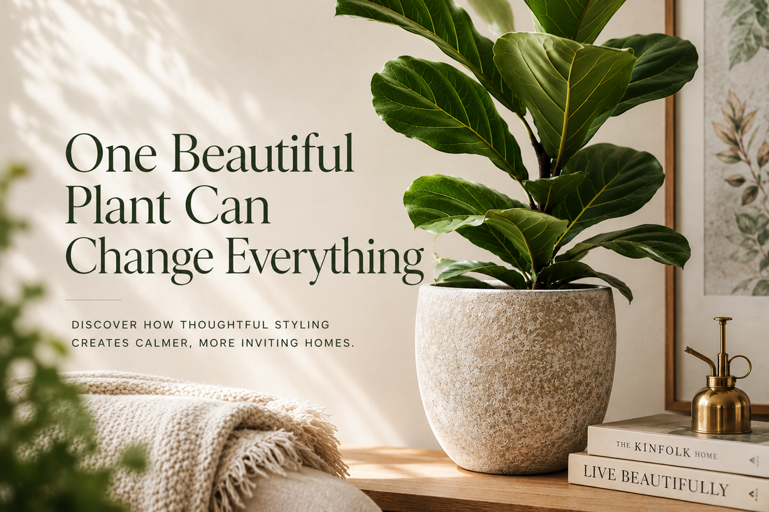 Why One Beautiful Plant Is Better Than Five Small Ones