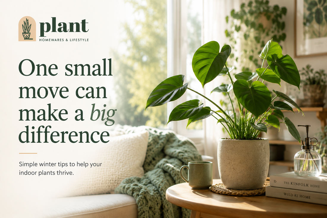 Should You Move Your Indoor Plants in Winter?