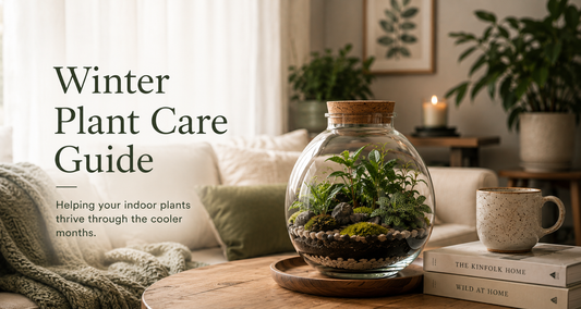 Winter Indoor Plant Care Guide for Australia