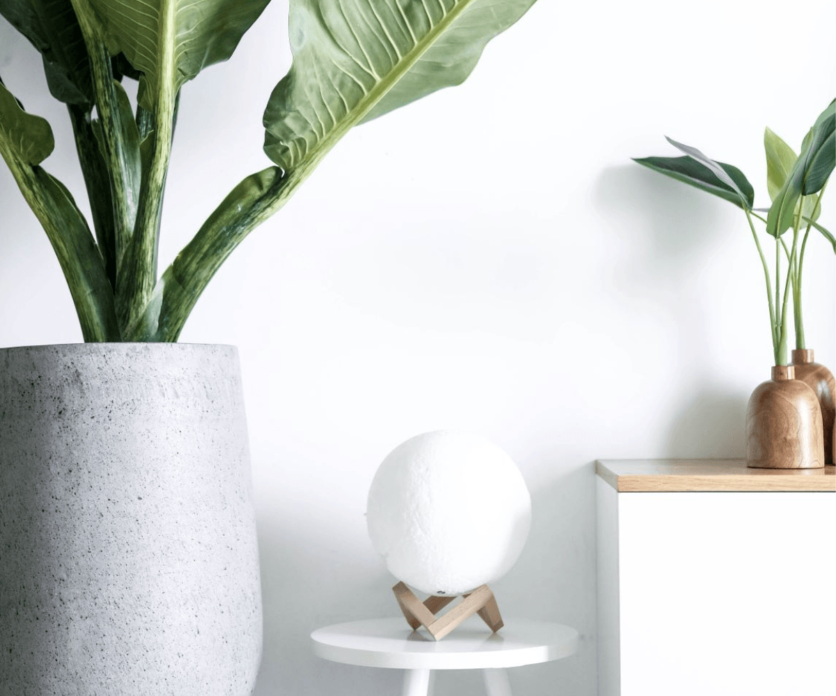 Benefits of decorating your home with plants - Plant Homewares & Lifestyle