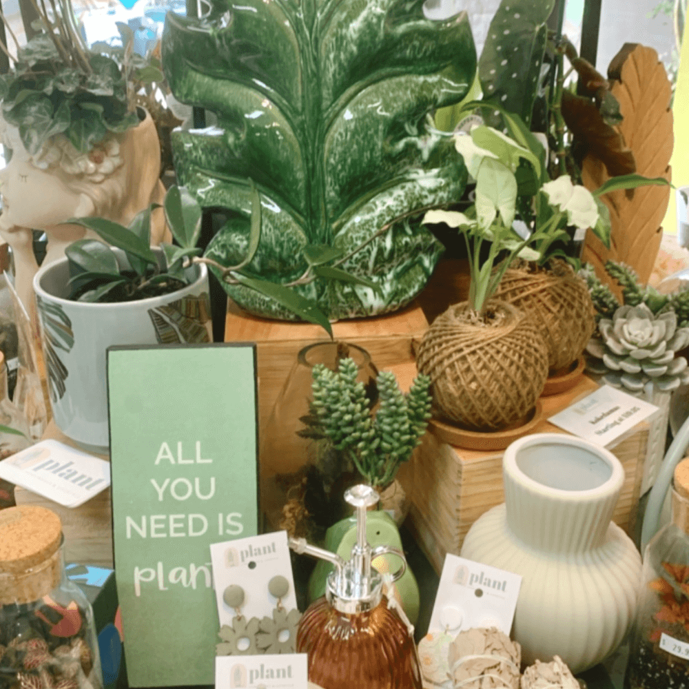 Why Plant Homewares is the Best Plant Shop in Queensland