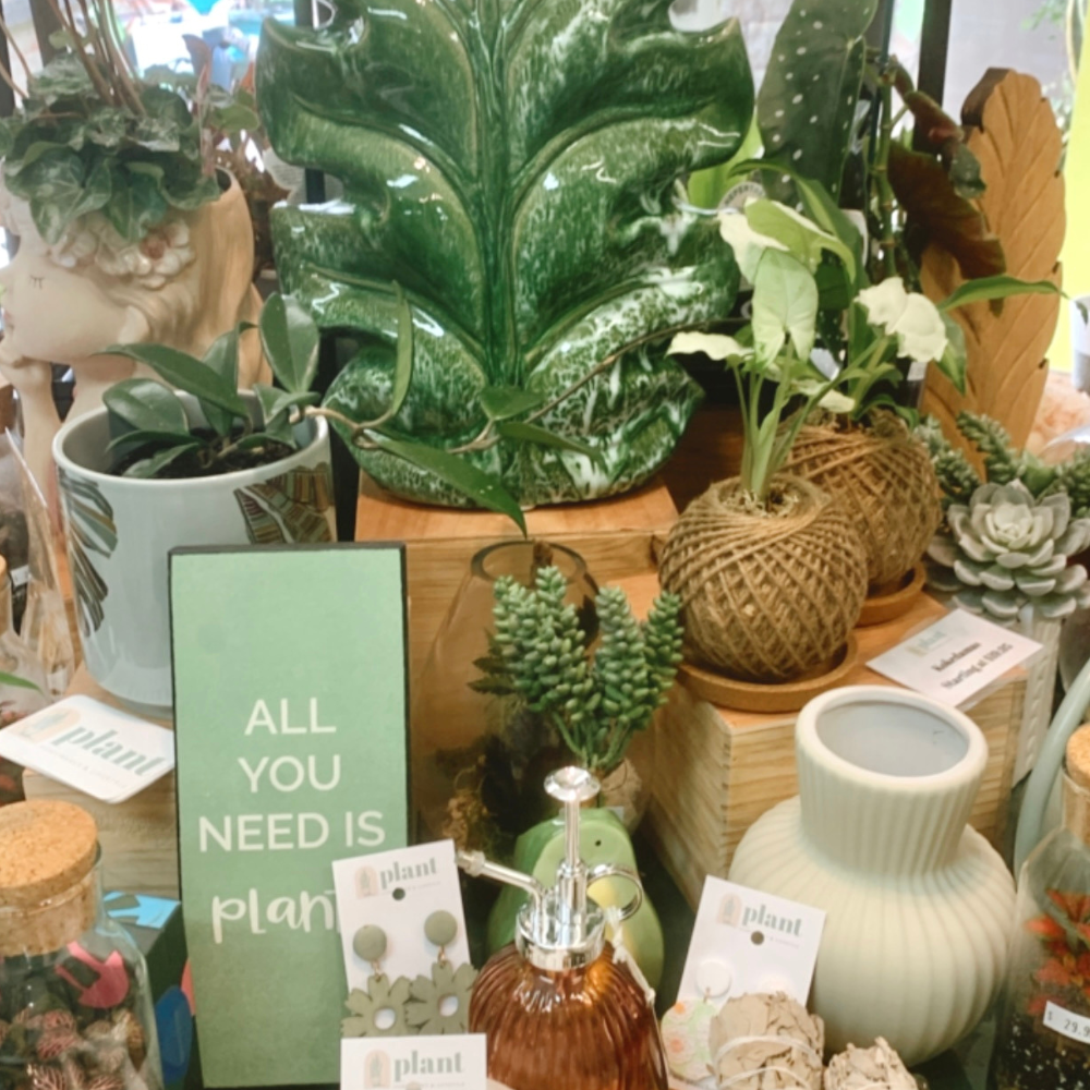 Why Plant Homewares is the Best Plant Shop in Queensland
