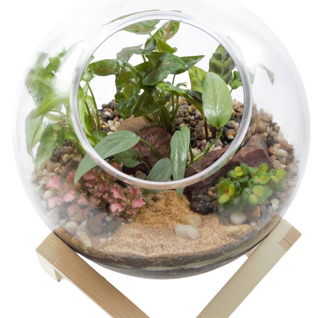 Terrariums