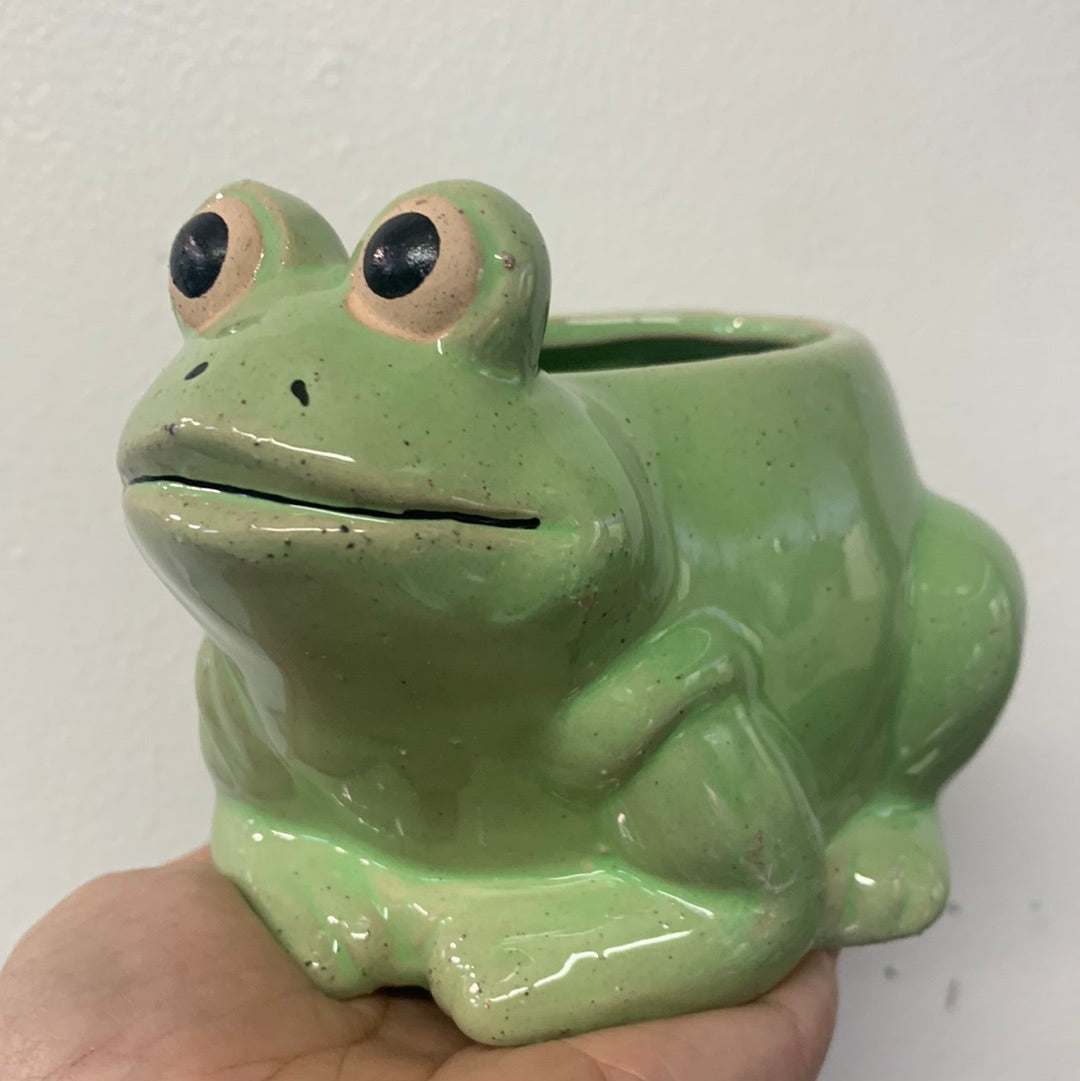 Small Green Frog Planter