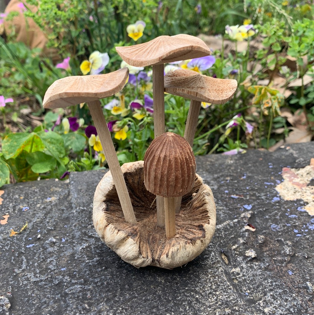 Hand Craved Wooden Mushrooms