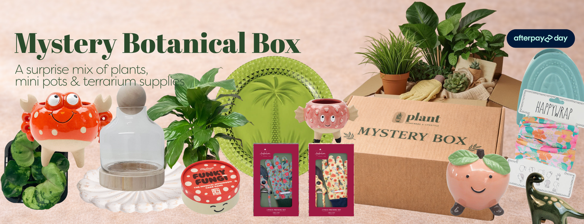 Afterpay Day Mystery Botanical Box