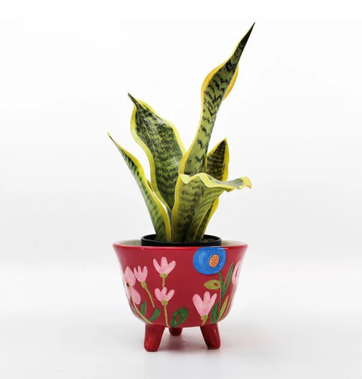 Natalie Flower Pot