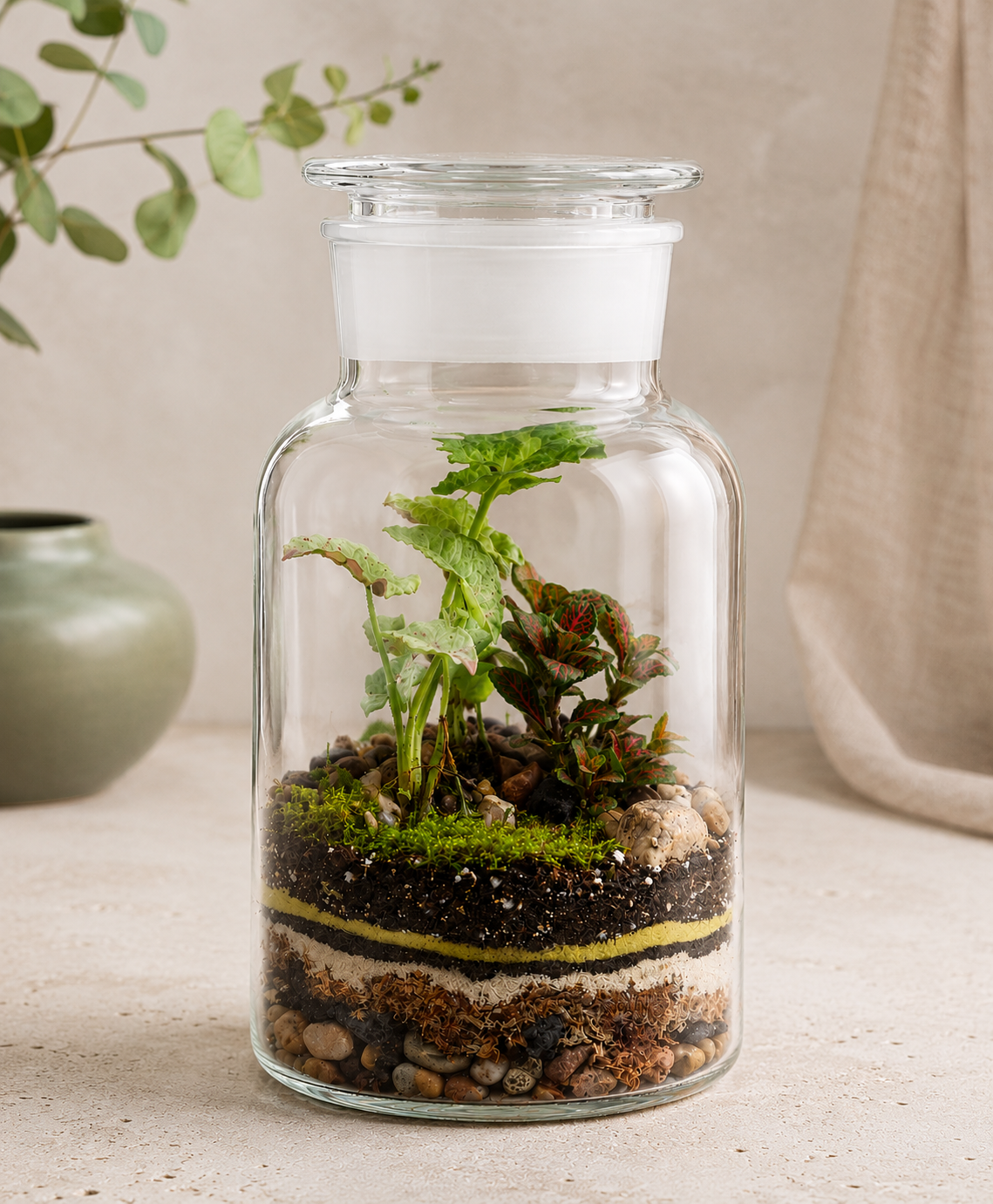 Georgia Large Closed Jar Terrarium