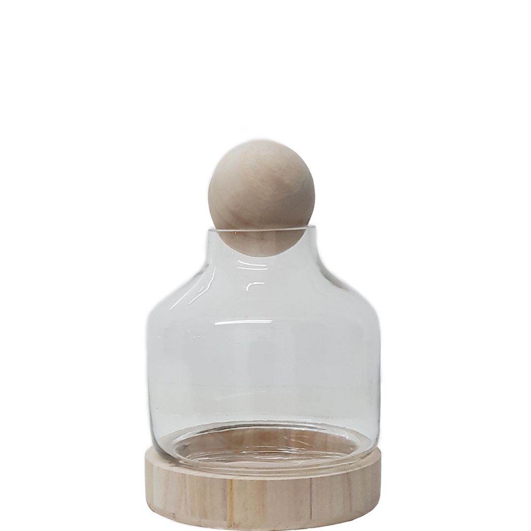 DIY Wooden Ball Terrarium
