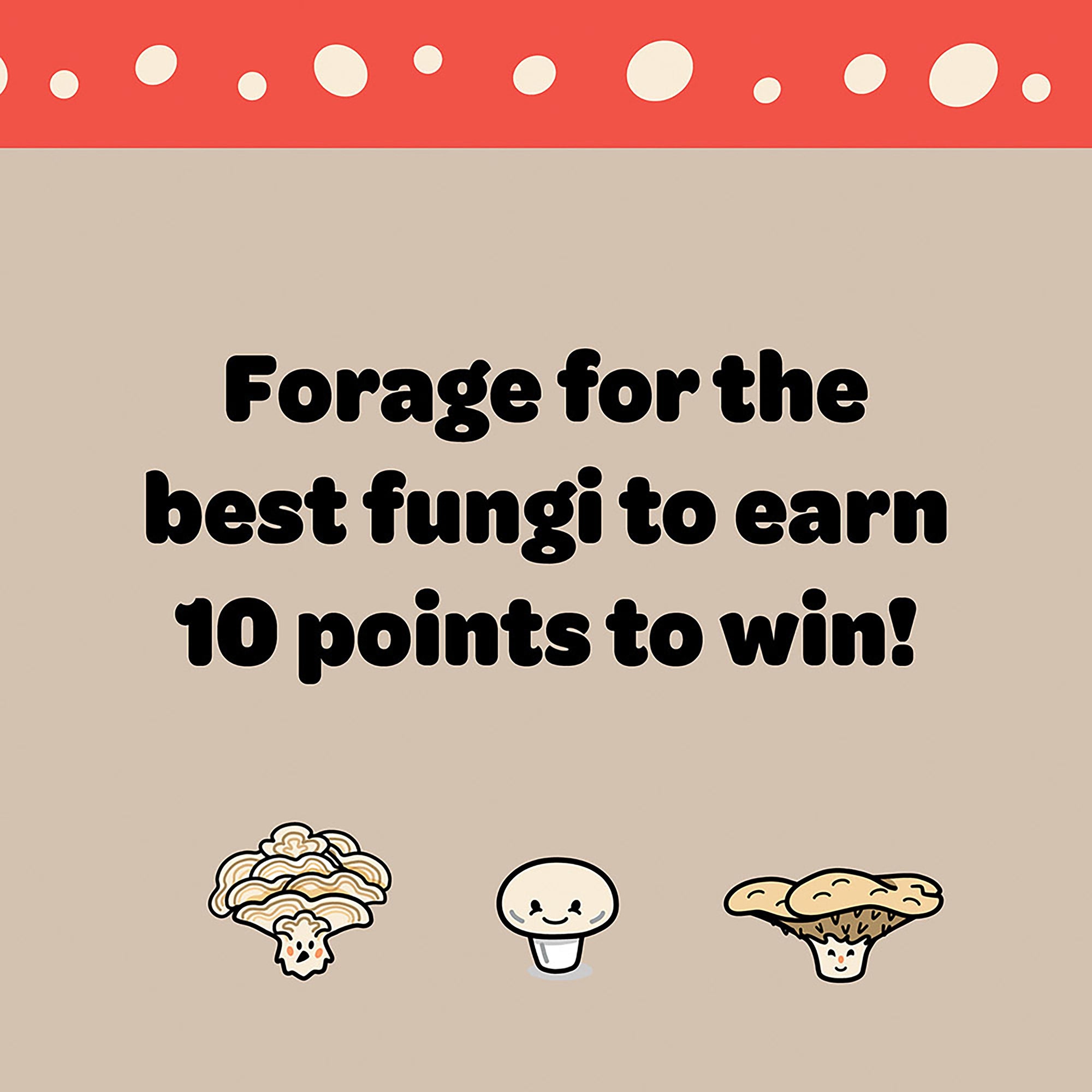 Funky Fungi Card Game