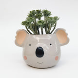 Koala Head Planter