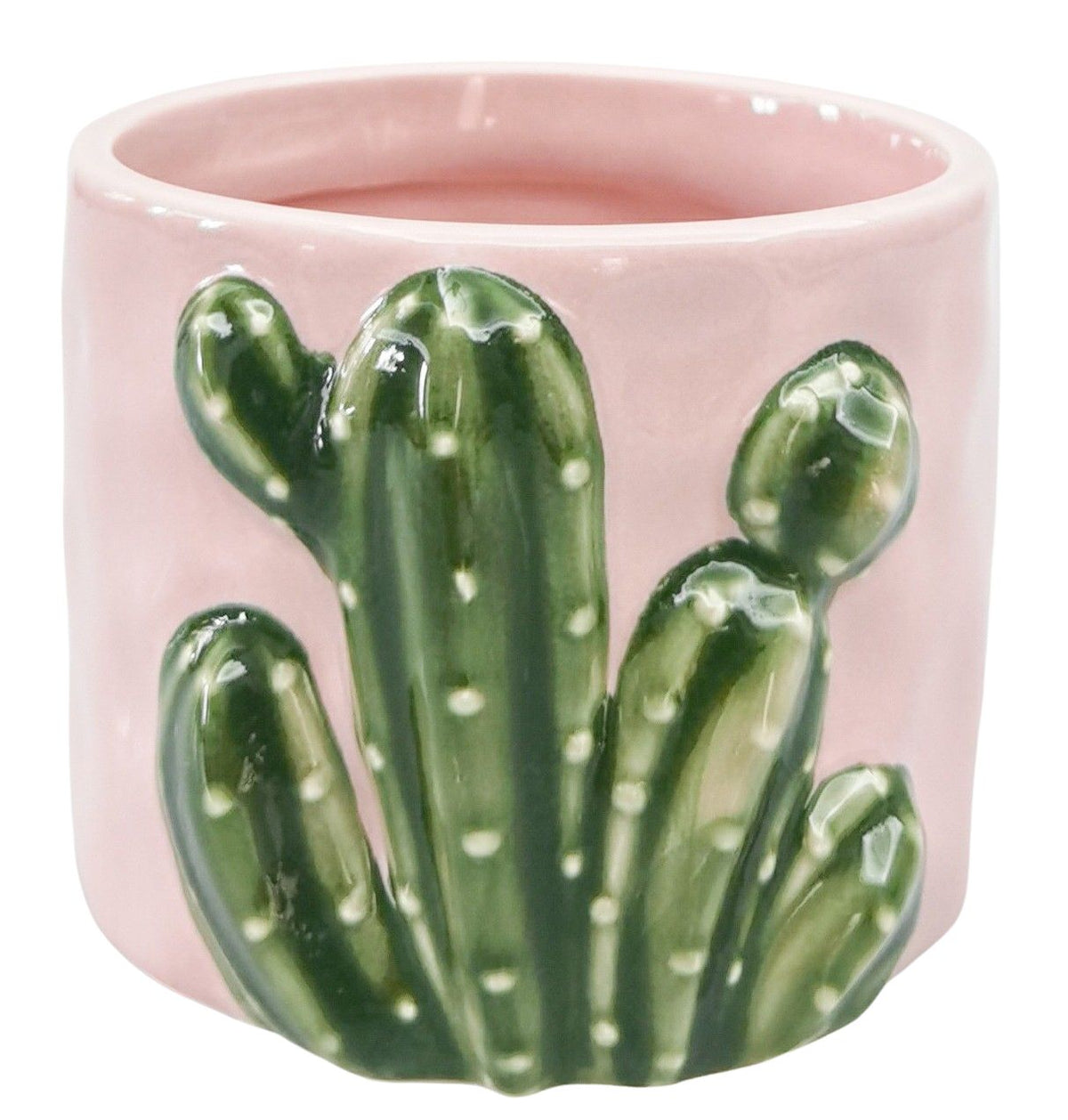 Cactus Planter