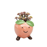 Pinky Peach Friends Vessel