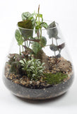 Jungle Life Large - Plant Homewares & Lifestyle