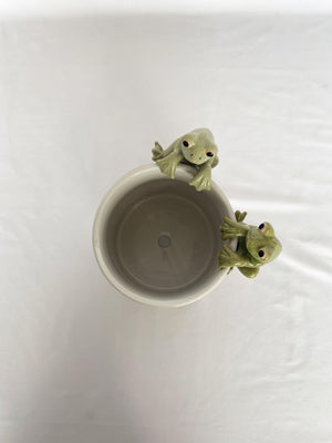 Fred The Frog Pot Hanger - Plant Homewares & Lifestyle