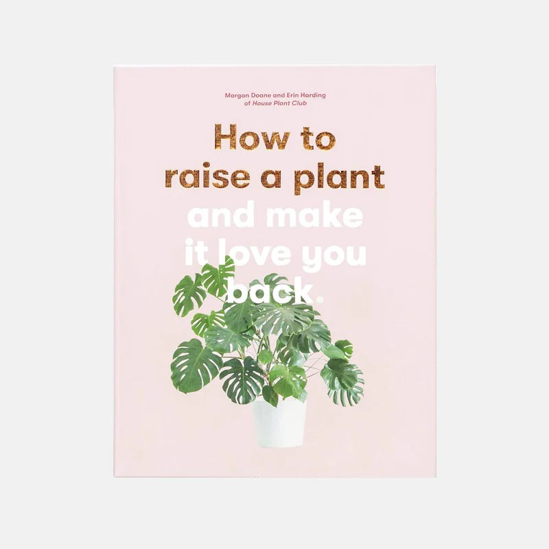 How to Raise A Plant