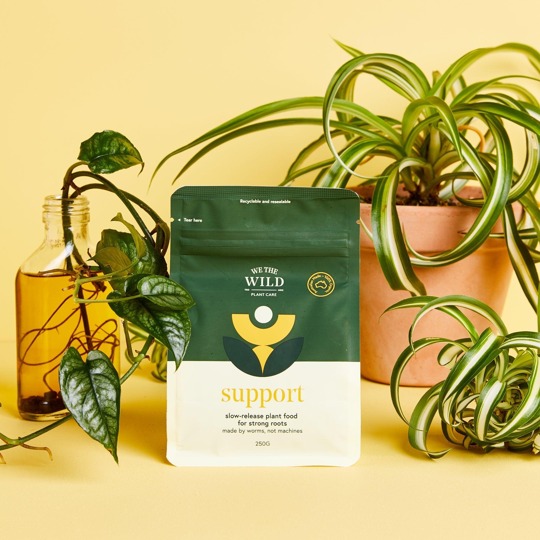 We The Wild - Support - Plant Homewares & Lifestyle