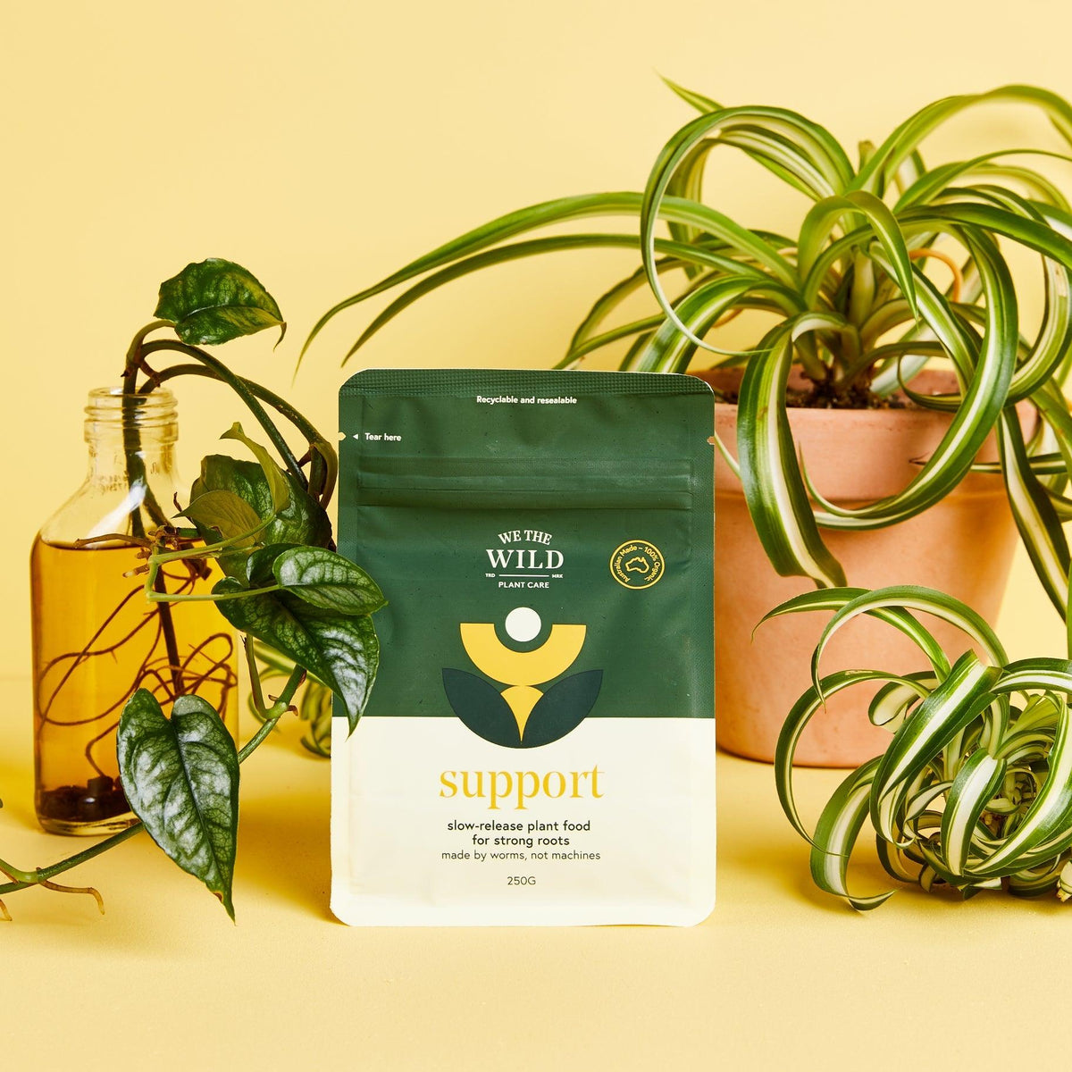 We The Wild - Support - Plant Homewares & Lifestyle