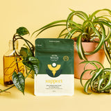 We The Wild - Support - Plant Homewares & Lifestyle